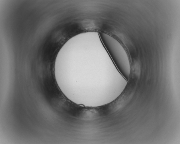 X0000111850572200908201239