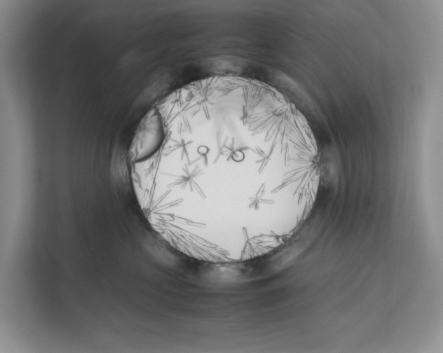 X0000111850573200908201239
