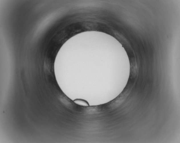 X0000111850574200908201239