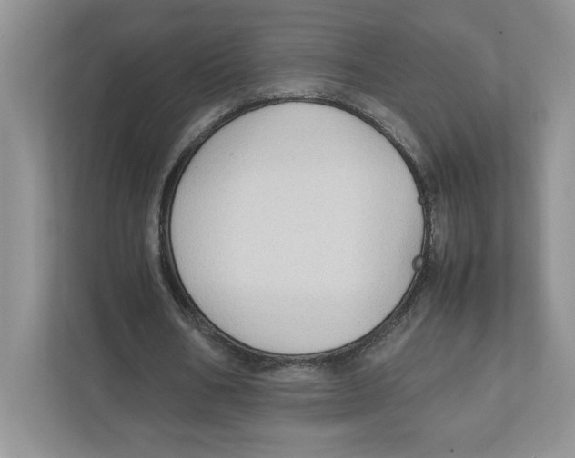 X0000111850578200908201239