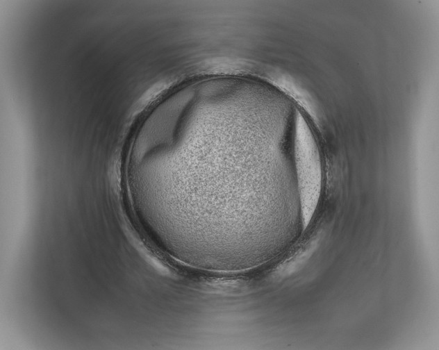 X0000111850581200908201239