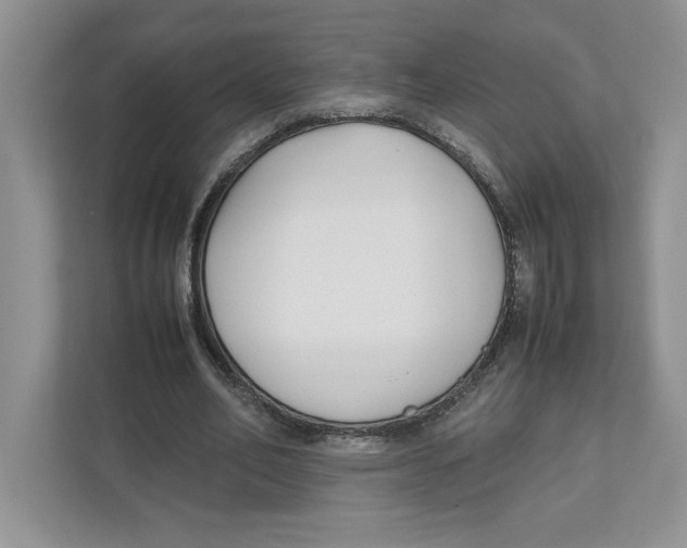 X0000111850582200908201239