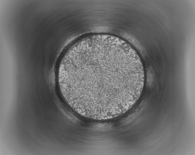 X0000111850584200908201239