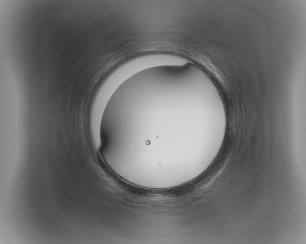 X0000111850585200908201239