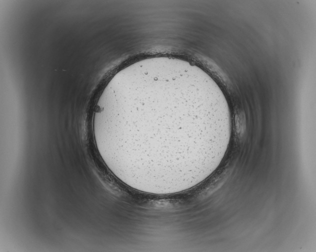 X0000111850588200908201239