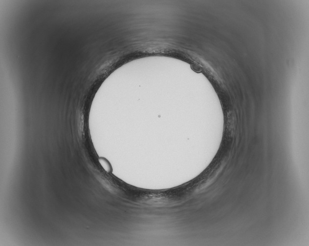 X0000111850589200908201239