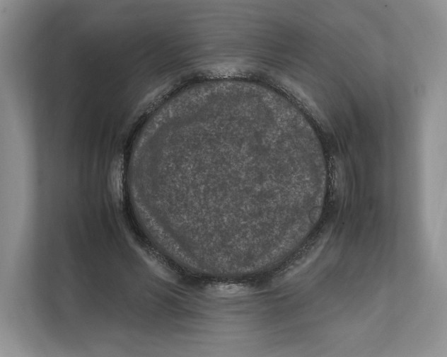 X0000111850590200908201239