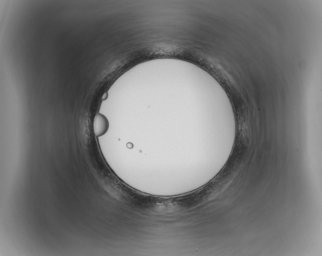 X0000111850591200908201239