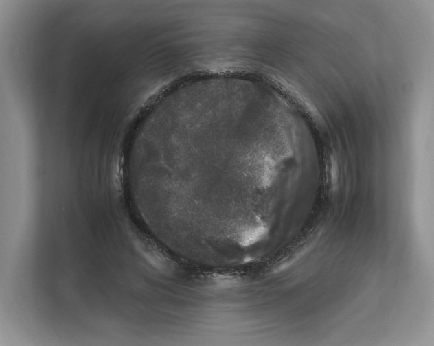 X0000111850592200908201239