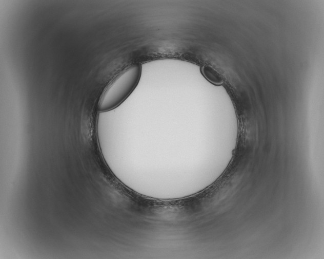 X0000111850593200908201239
