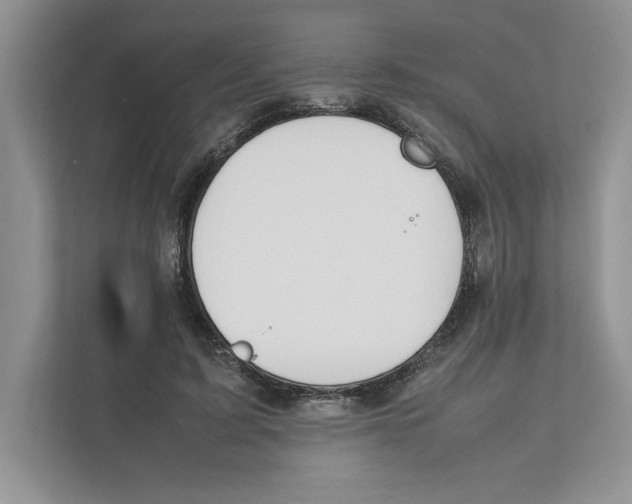X0000111850595200908201239