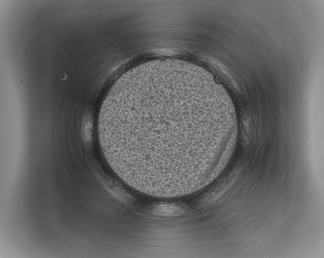 X0000111850596200908201239