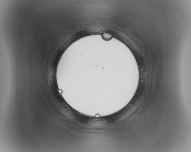 X0000111850597200908201239