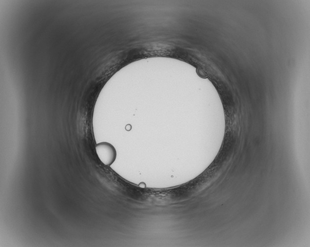 X0000111850599200908201239