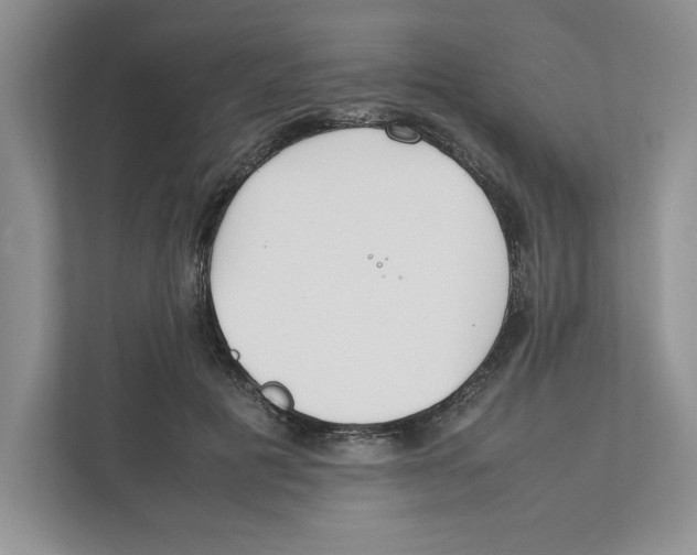 X0000111850601200908201239