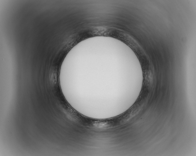 X0000111850602200908201238