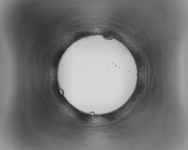 X0000111850605200908201238