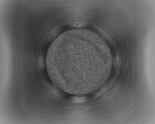 X0000111850606200908201238