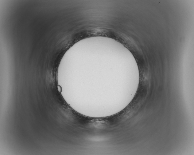 X0000111850607200908201238