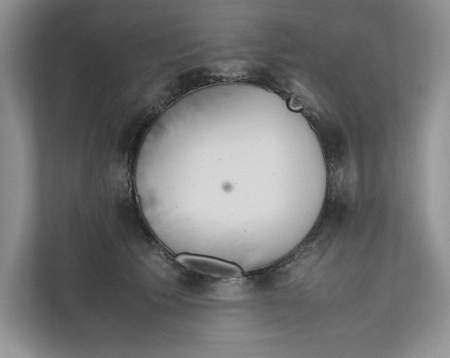 X0000111850609200908201238
