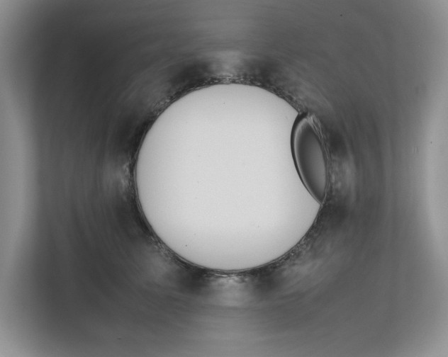 X0000111850611200908201238
