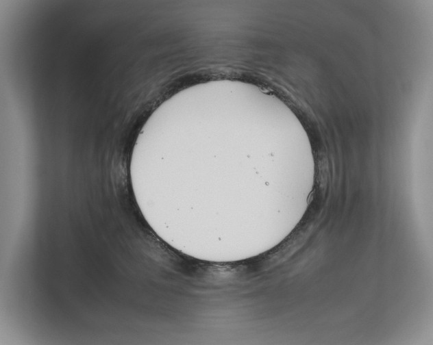 X0000111850613200908201238