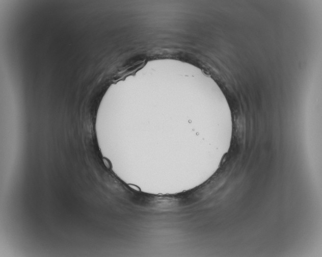 X0000111850617200908201238