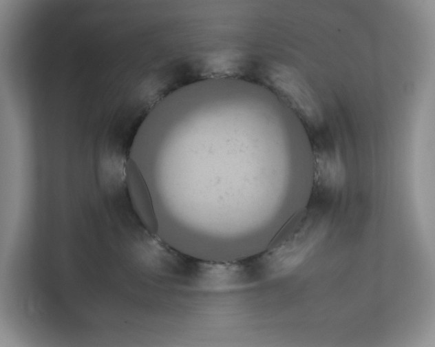 X0000111850621200908201238