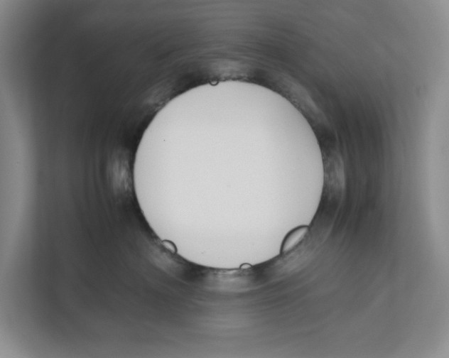 X0000111850622200908201238