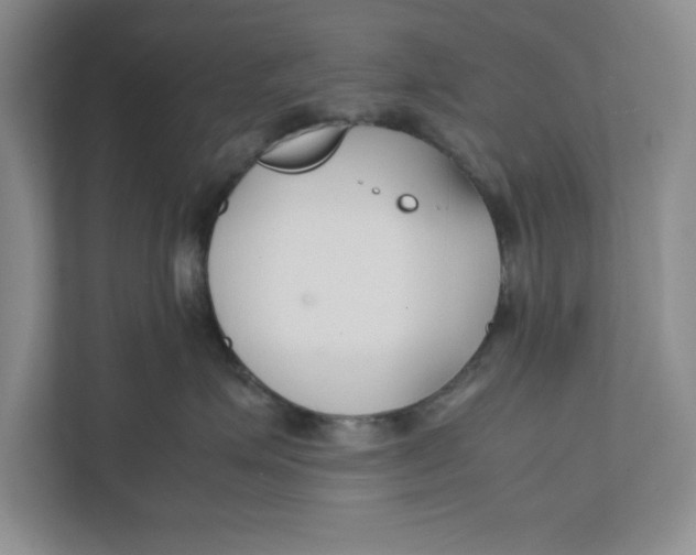 X0000111850623200908201238