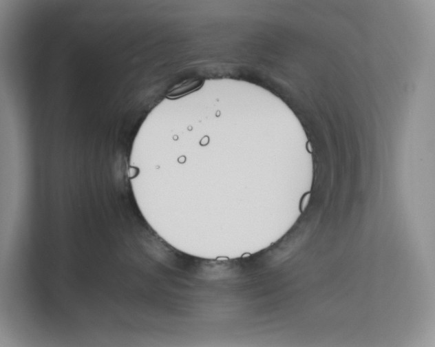 X0000111850624200908201238