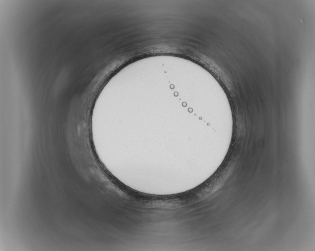 X0000111850625200908201238