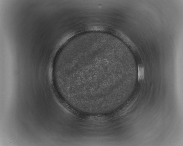 X0000111850627200908201238