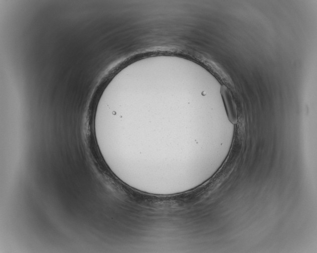 X0000111850628200908201238