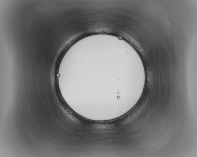 X0000111850629200908201238