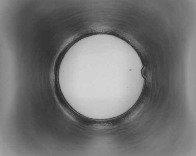 X0000111850630200908201238