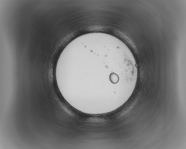 X0000111850633200908201238