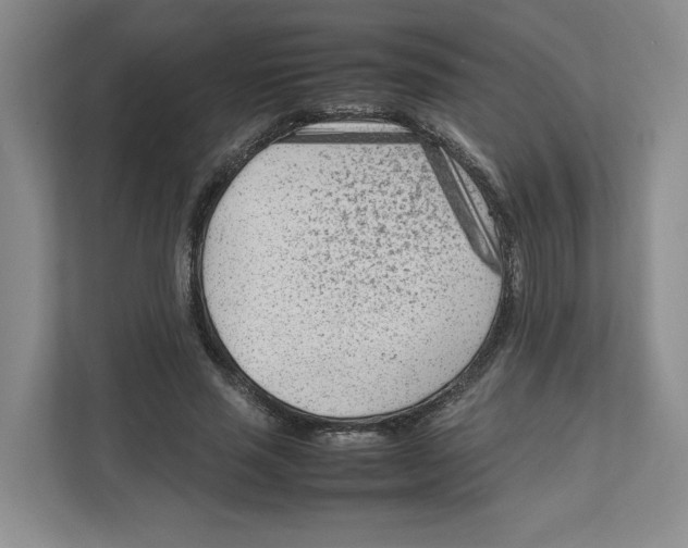 X0000111850637200908201238