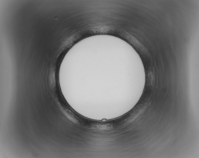 X0000111850638200908201238