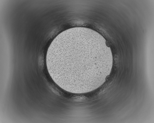 X0000111850642200908201238