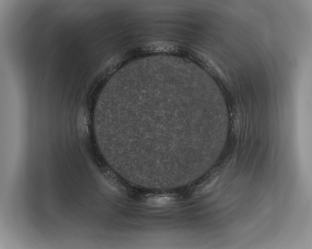 X0000111850643200908201238