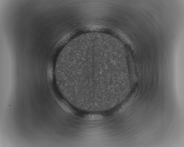 X0000111850644200908201238