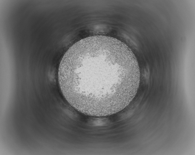 X0000111850663200908201238