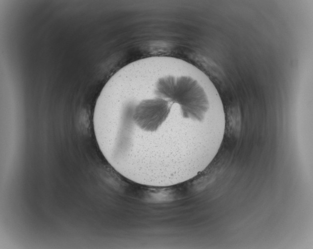 X0000111850667200908201238