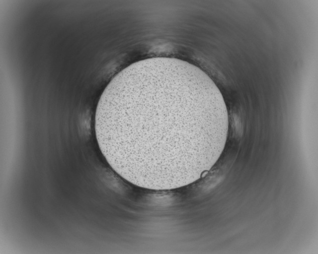 X0000111850668200908201238