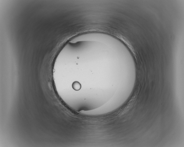 X0000111850673200908201238