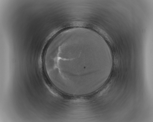 X0000111850674200908201238