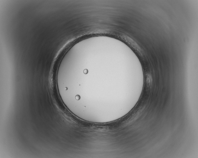 X0000111850676200908201238