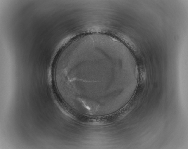 X0000111850678200908201237