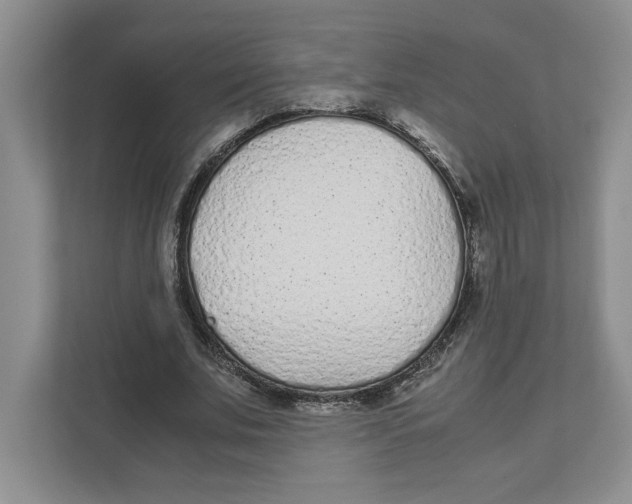 X0000111850679200908201237
